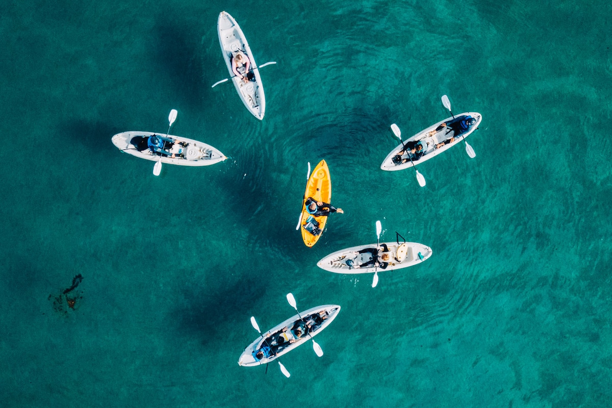 השמורה האקולוגית La Jolla Kayak and Snorkel La Jolla