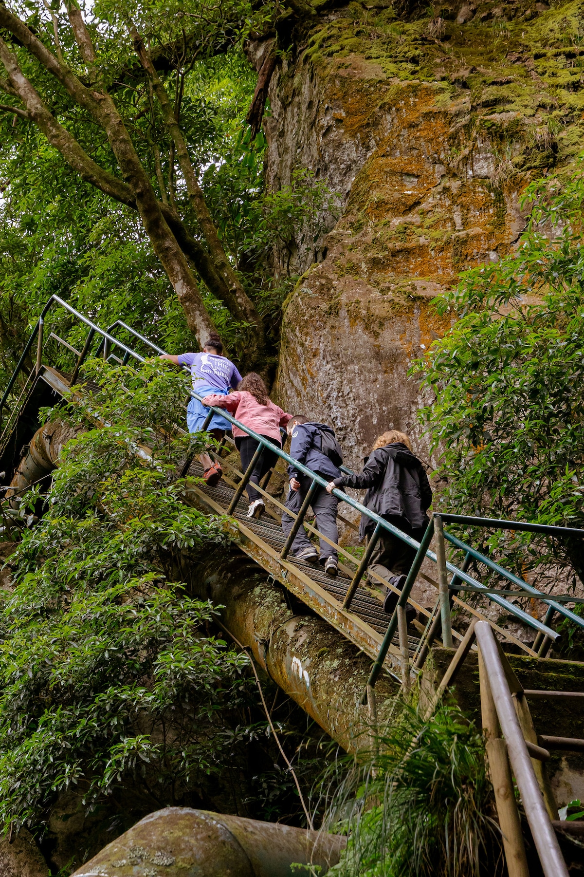 Discover São Miguels hikes