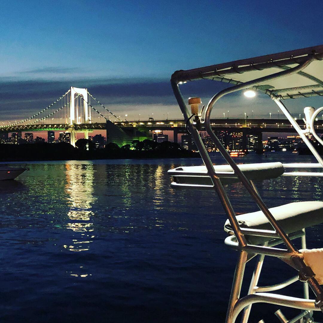 Tokyo Bay cruise at sunset and night