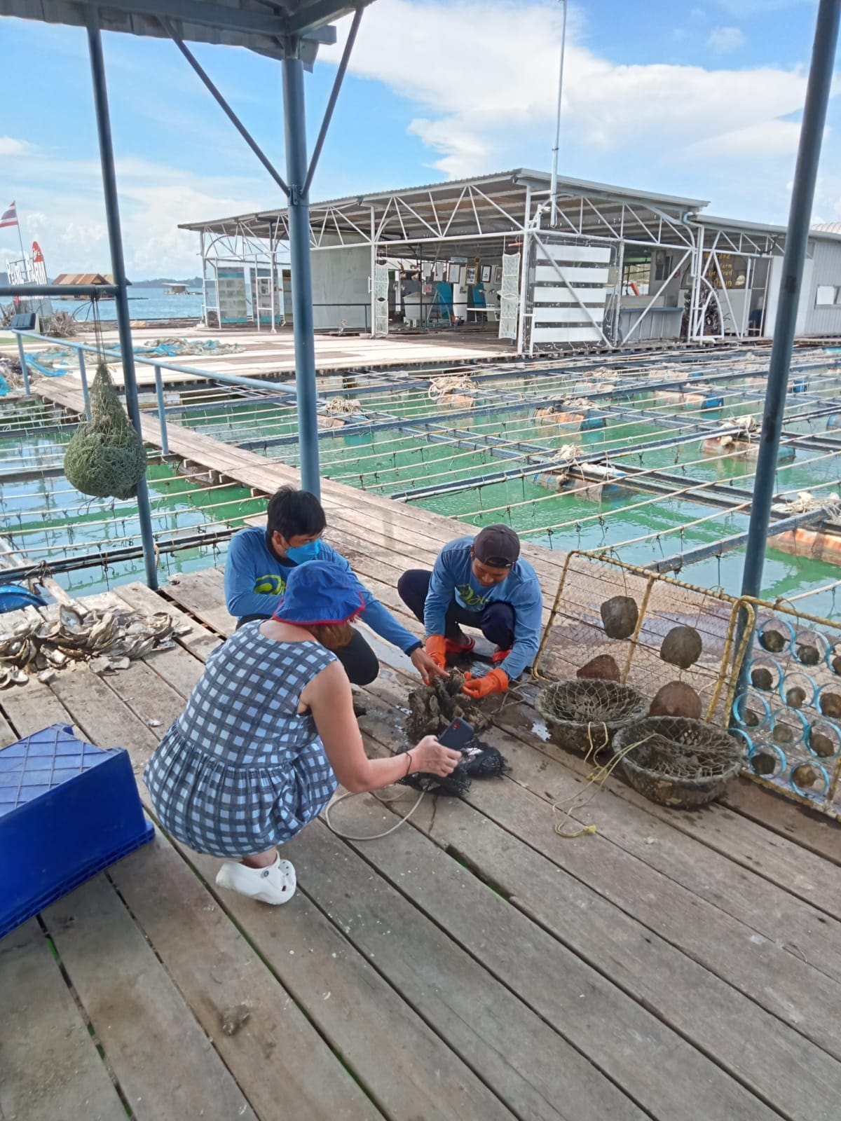 Discover pearl farming in Phuket