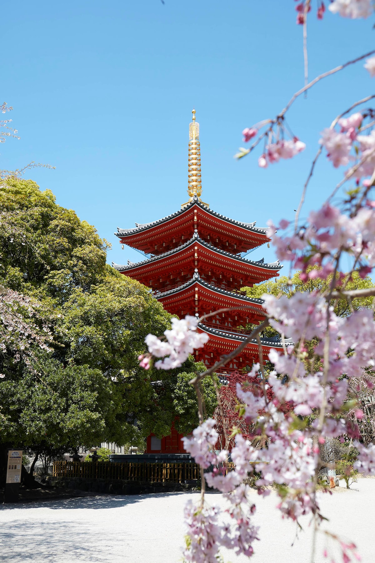 博多の神秘的な寺院にお参り