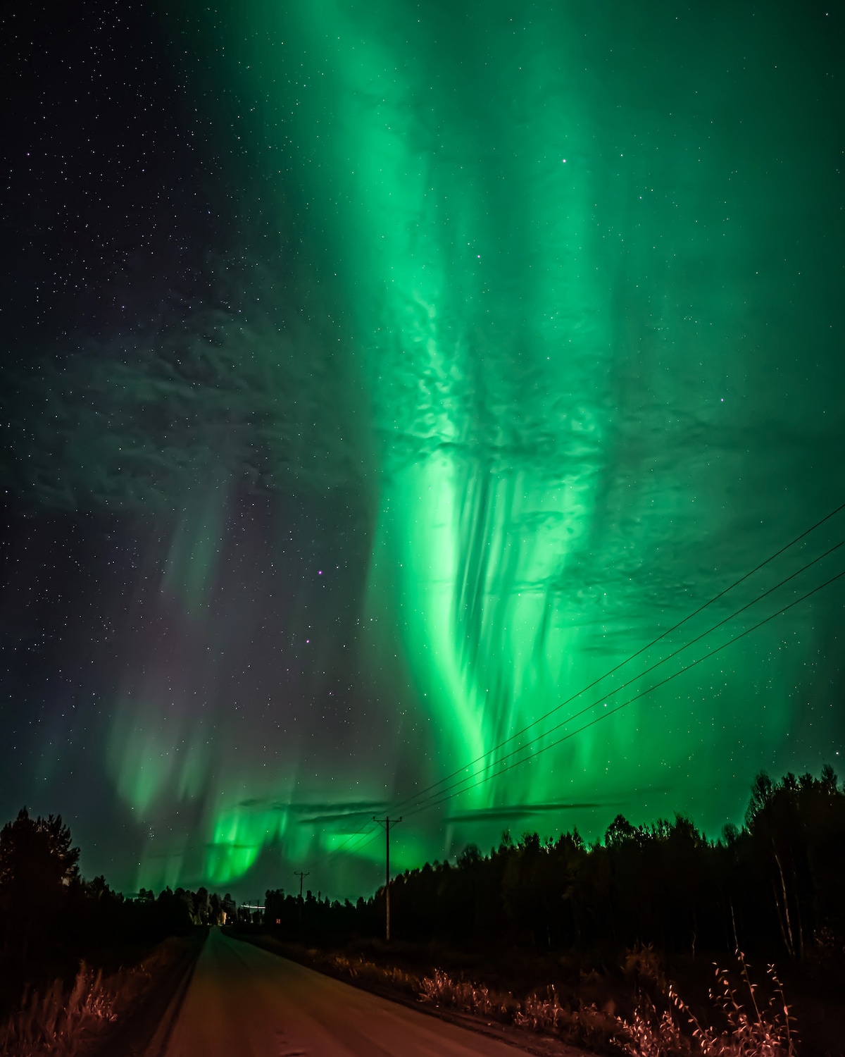 Guaranteed northern lights Hunt with Photography