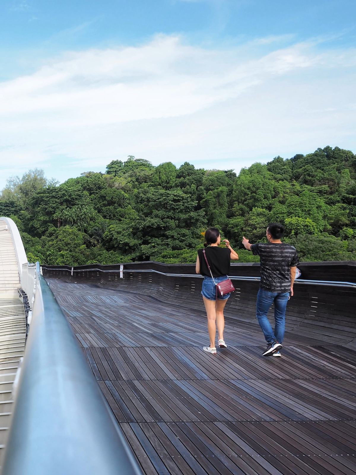 Hike Henderson Waves & the Southern Ridges