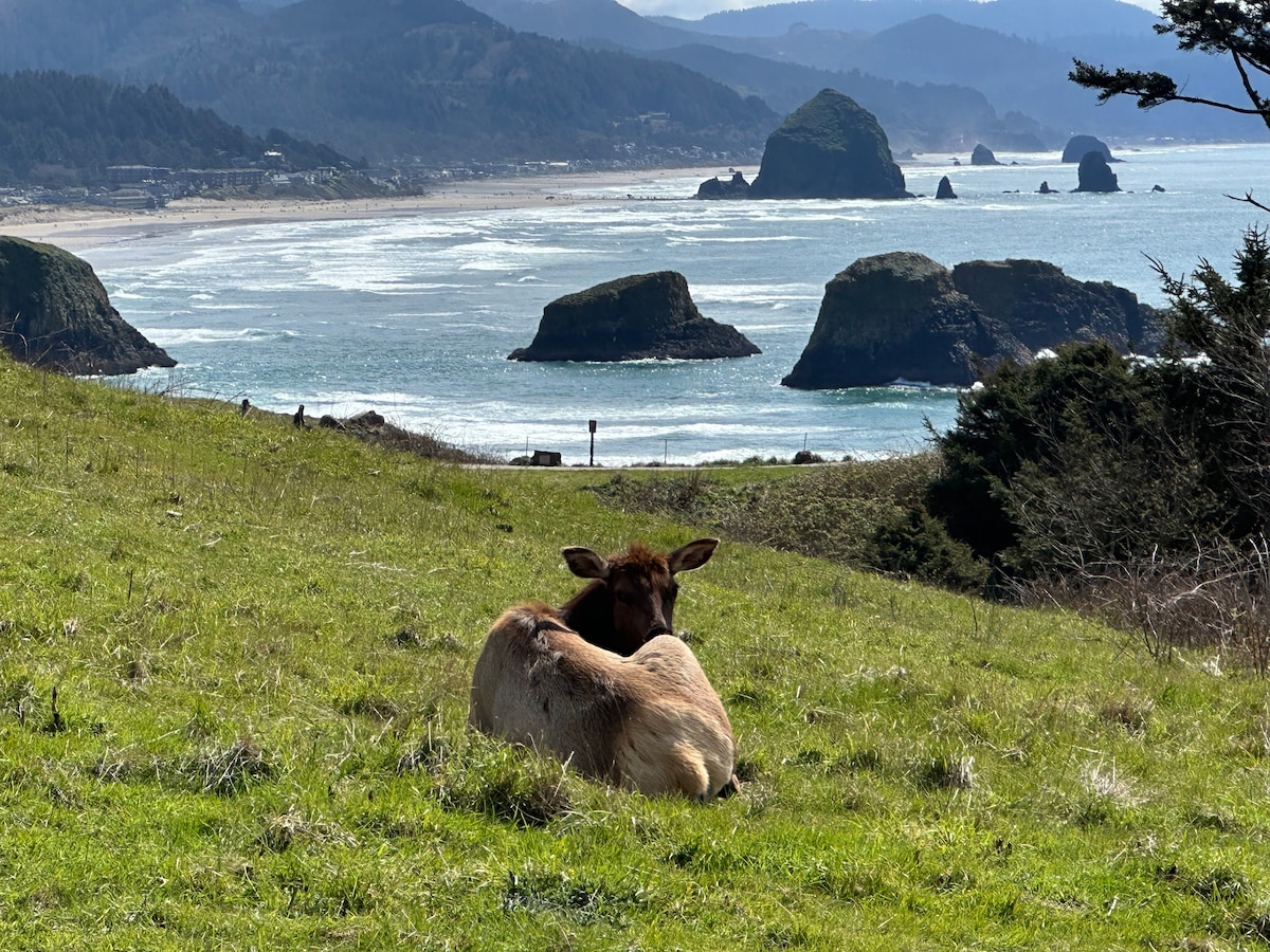 Unreal Oregon Coast: Cannon Beach Haystack & Ecola