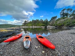 Explora la bahía de Glengarriff en kayak