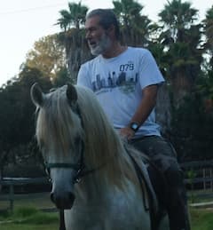 Ride Arabian horses