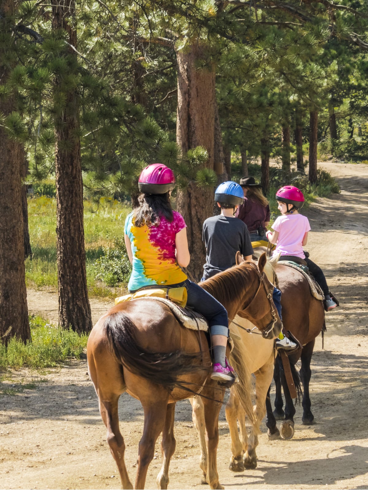 Ride Arabian horses