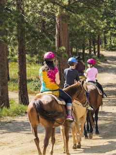 Ride Arabian horses