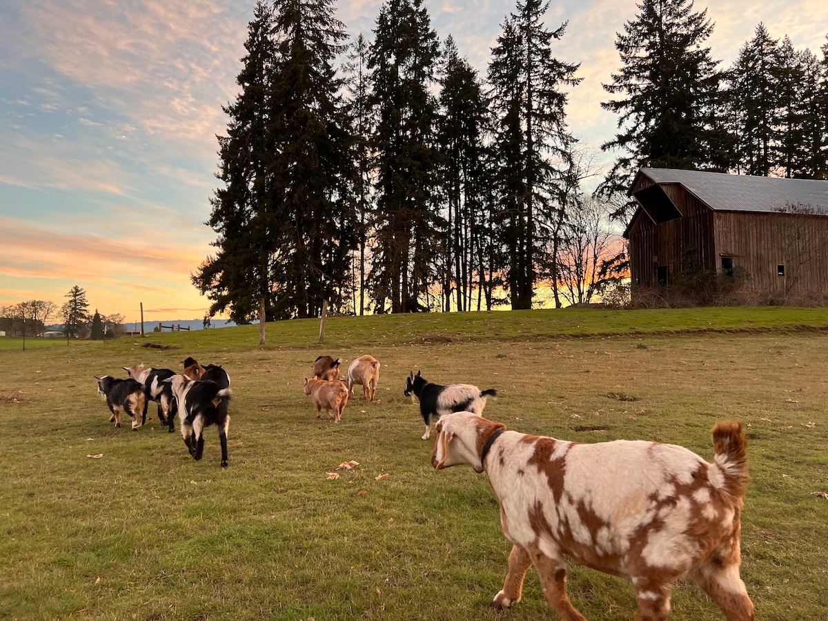 Join Goat Happy Hour