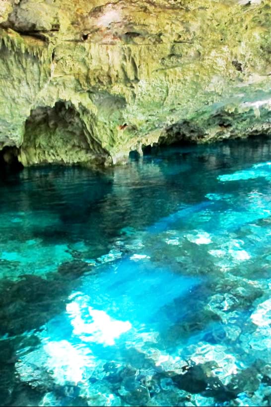 Explore magical cenotes with a local expert