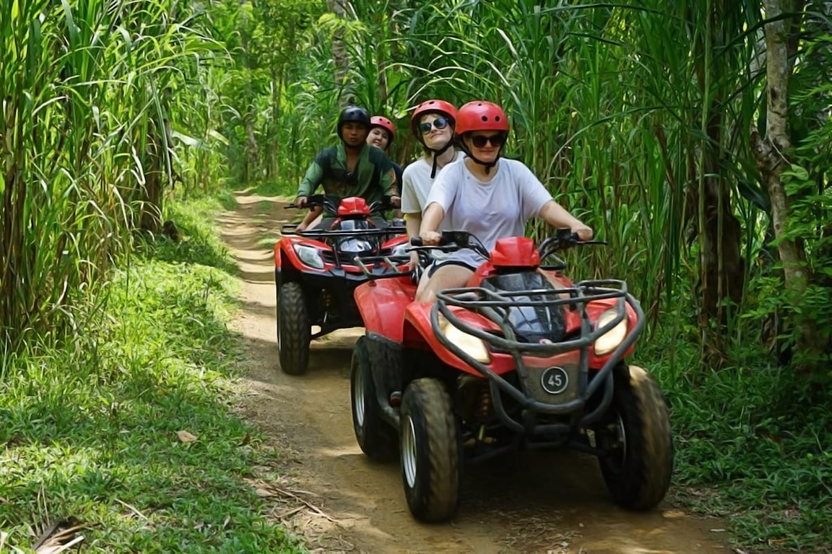 Excursion en quad jusqu'à la grotte au visage de gorille