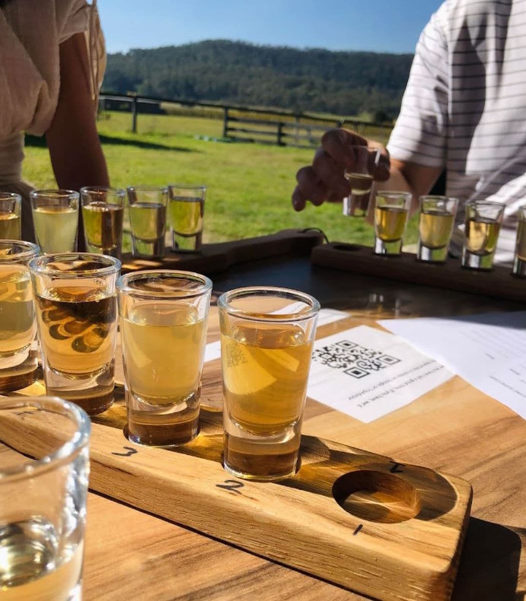 Mead Tasting & Stargazing