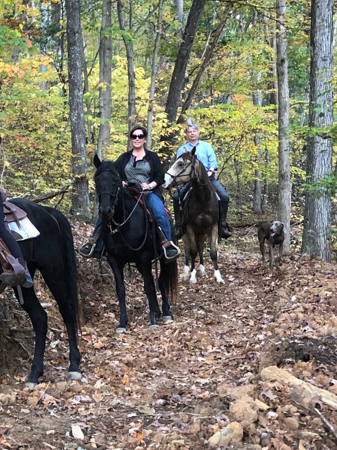 Explore the mountains on horseback