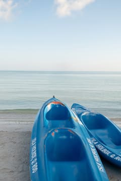 Paseo en kayak por manglares en un entorno mágico
