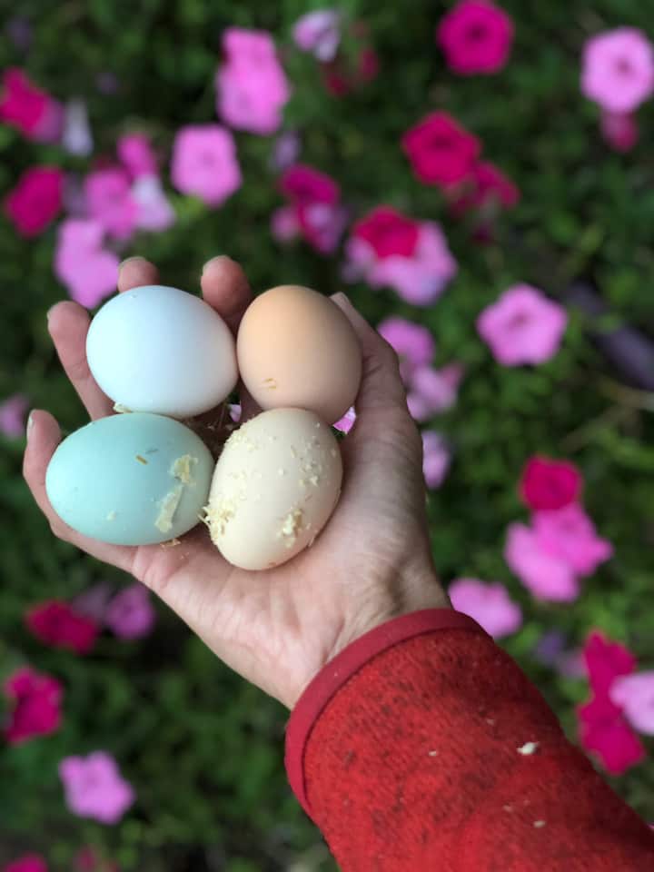 Приятели и семейство