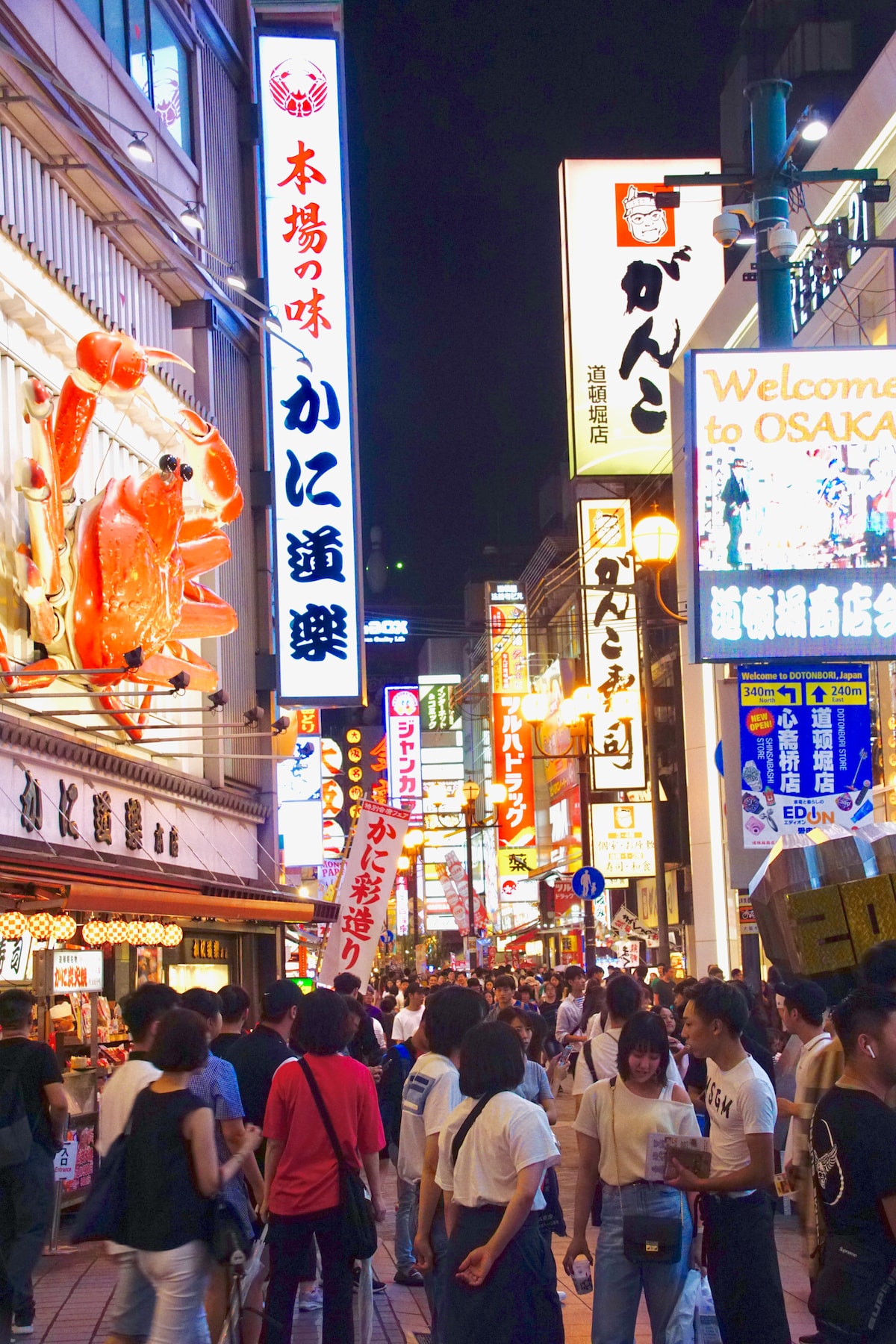 Neon Dotonbori in Osaka