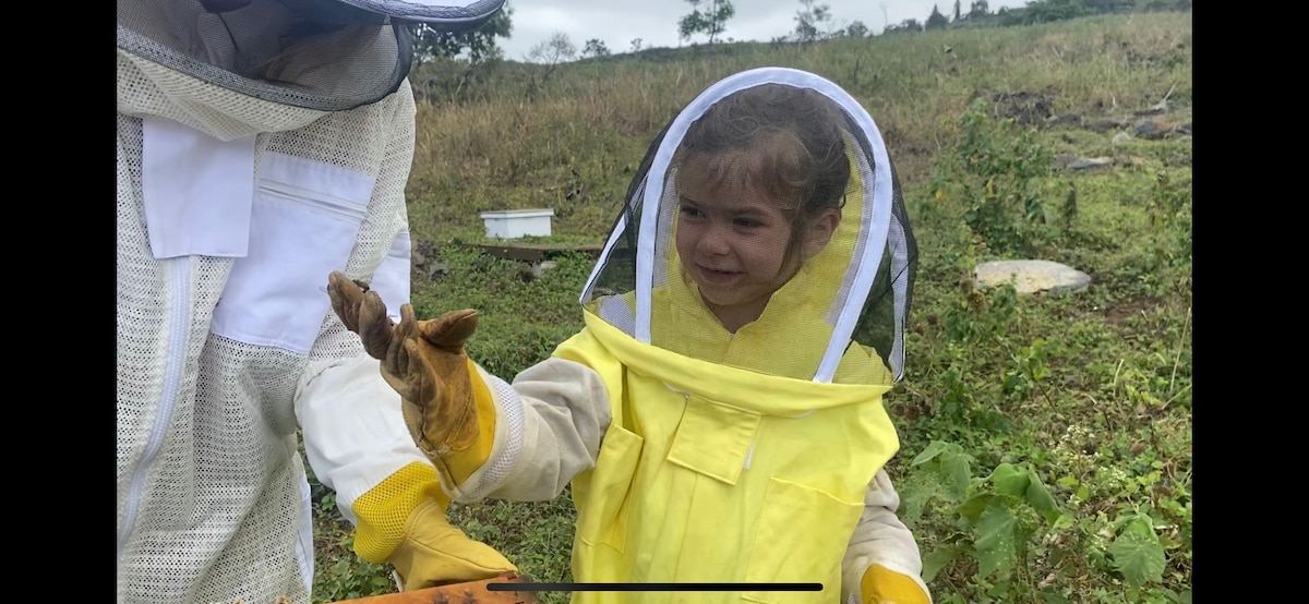 Hands-On Honeybee Adventure - Educational & Fun