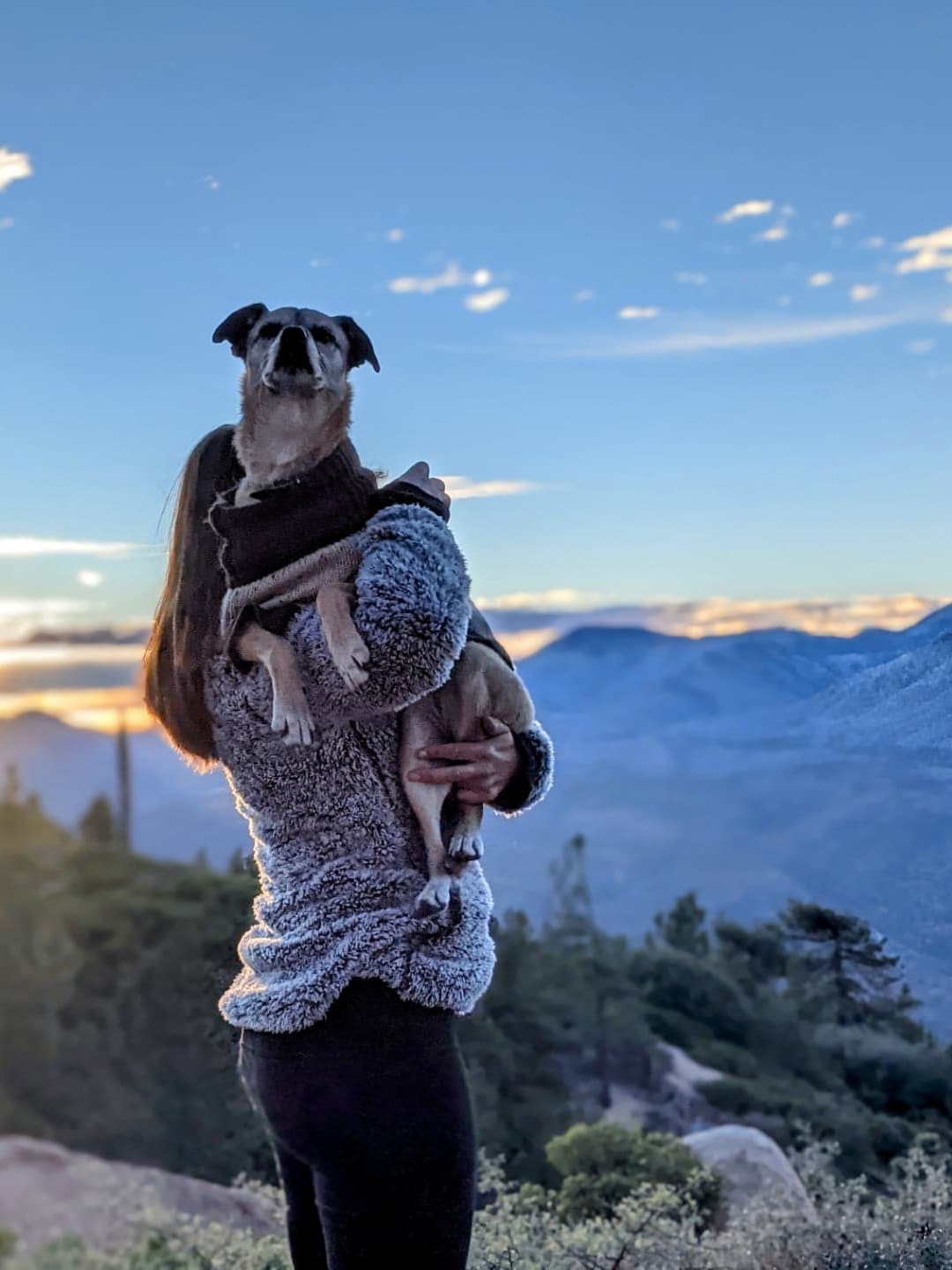 Hike and watch sunrise with Baileys and coffee