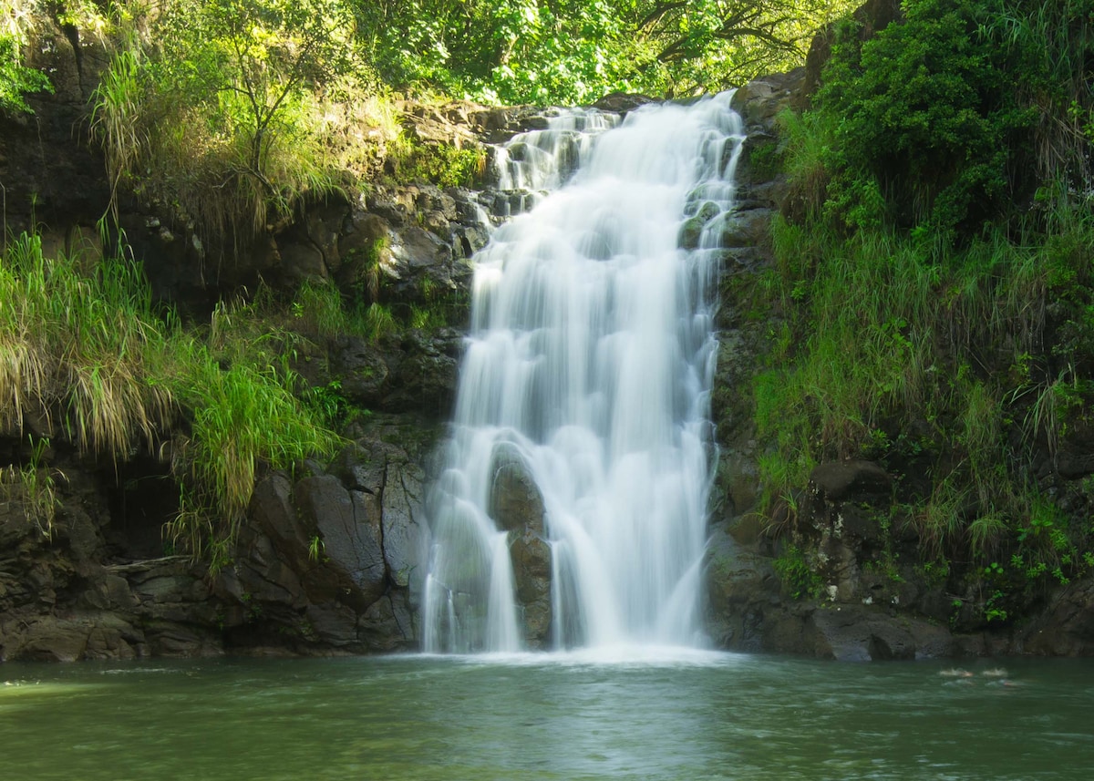 Experience Hawaii with Waterfall & Epic Sights