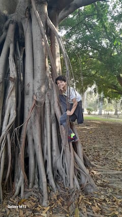 拉尔巴格植物园漫步之旅