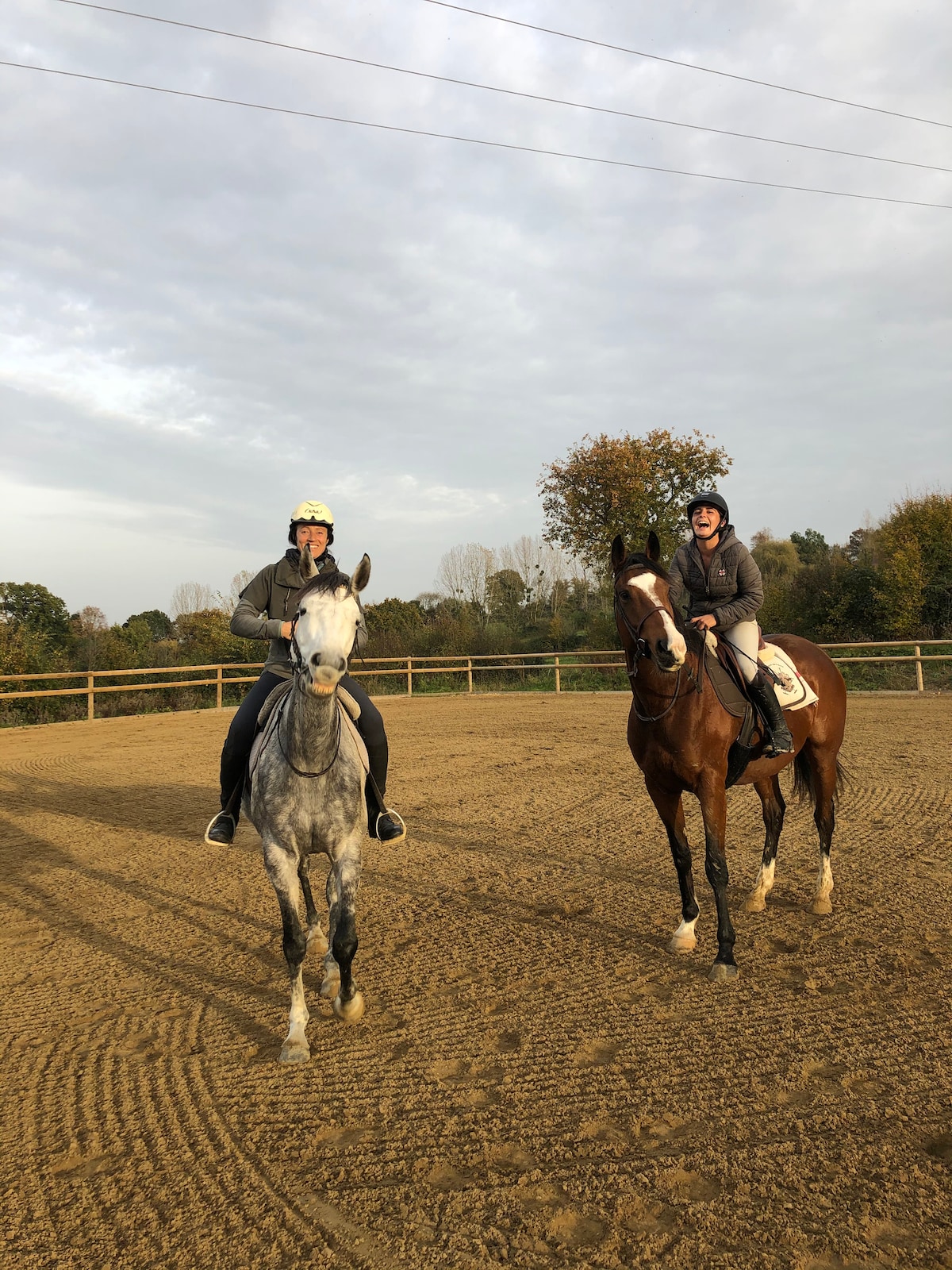 Immersive horseback riding in nature