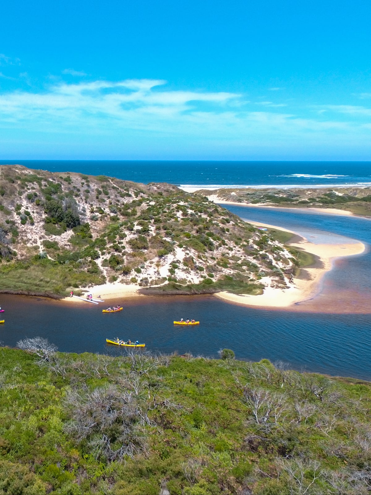 Forage plants while canoeing the Margaret River