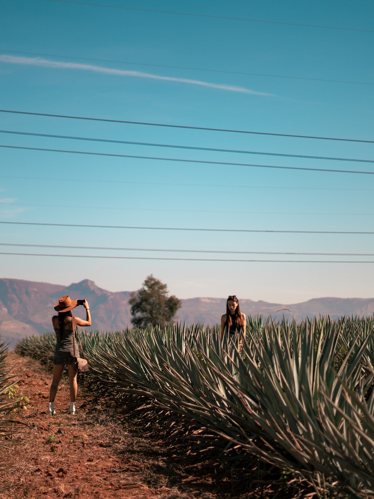 Vip Tequila Experience