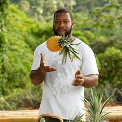 Hike Jamaican Pineapple farm & taste fresh fruit