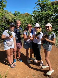 Hike Jamaican Pineapple farm & taste fresh fruit