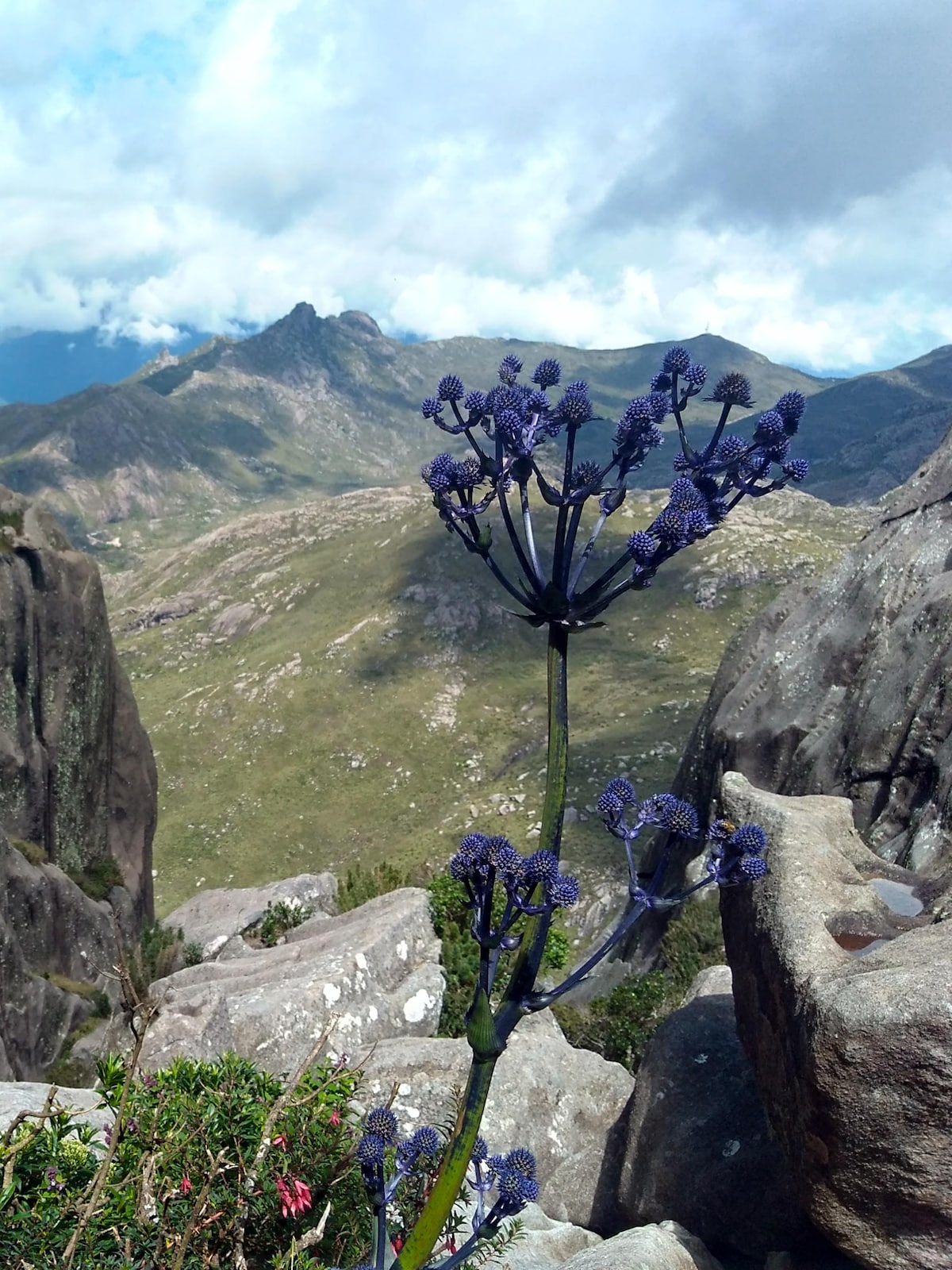 Ascend the Agulhas Negras Peak