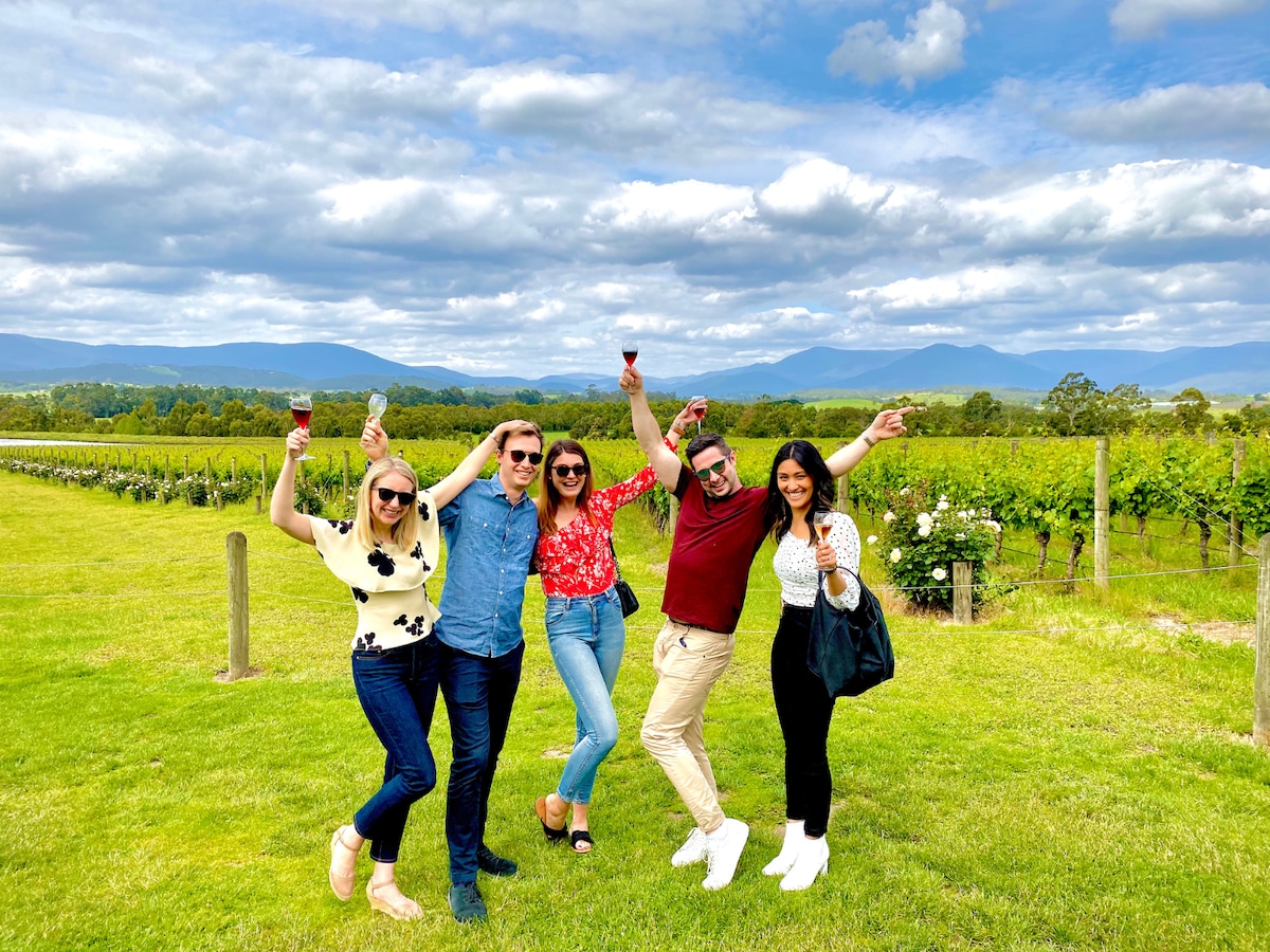 Premium Yarra Valley Wine Tour & 2-Course Lunch