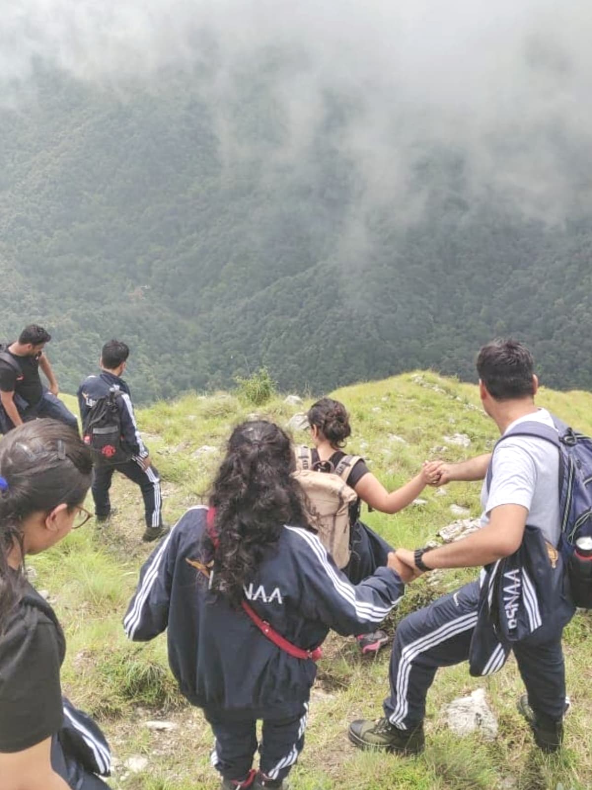 Trek through the beautiful forests  of Benog Tibba