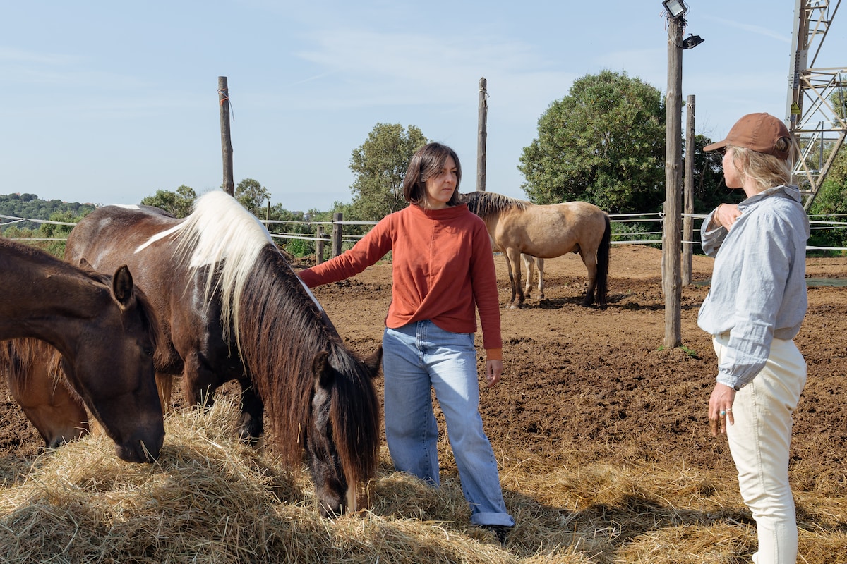 Horse Whispering with an Equine Therapist