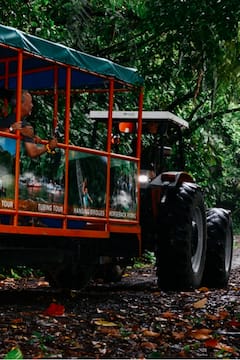 Go Adventure Arenal Park: tirolesa, rapel y tubing