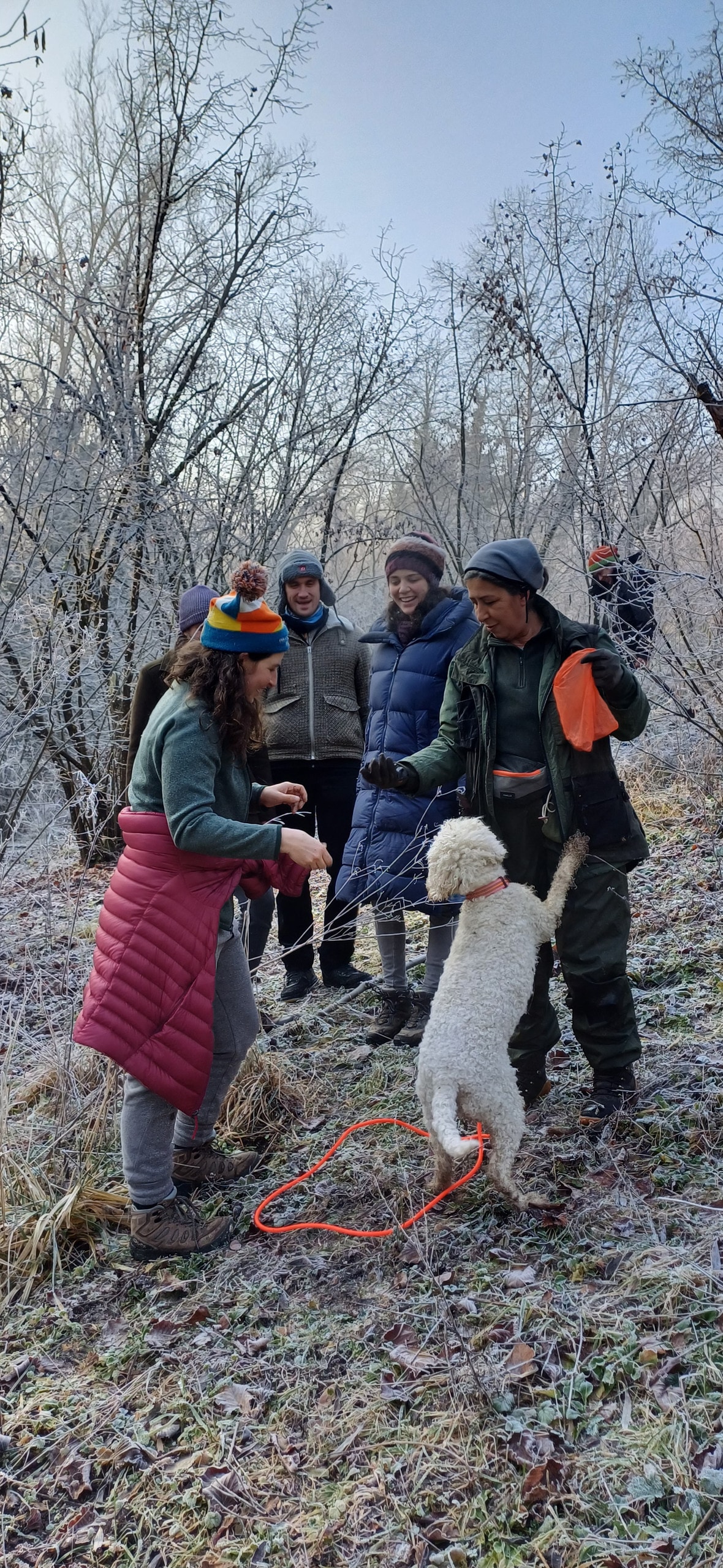 Real Truffle Hunting and Lunch