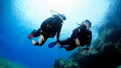 Prueba el buceo en las aguas cristalinas de Playa Chica