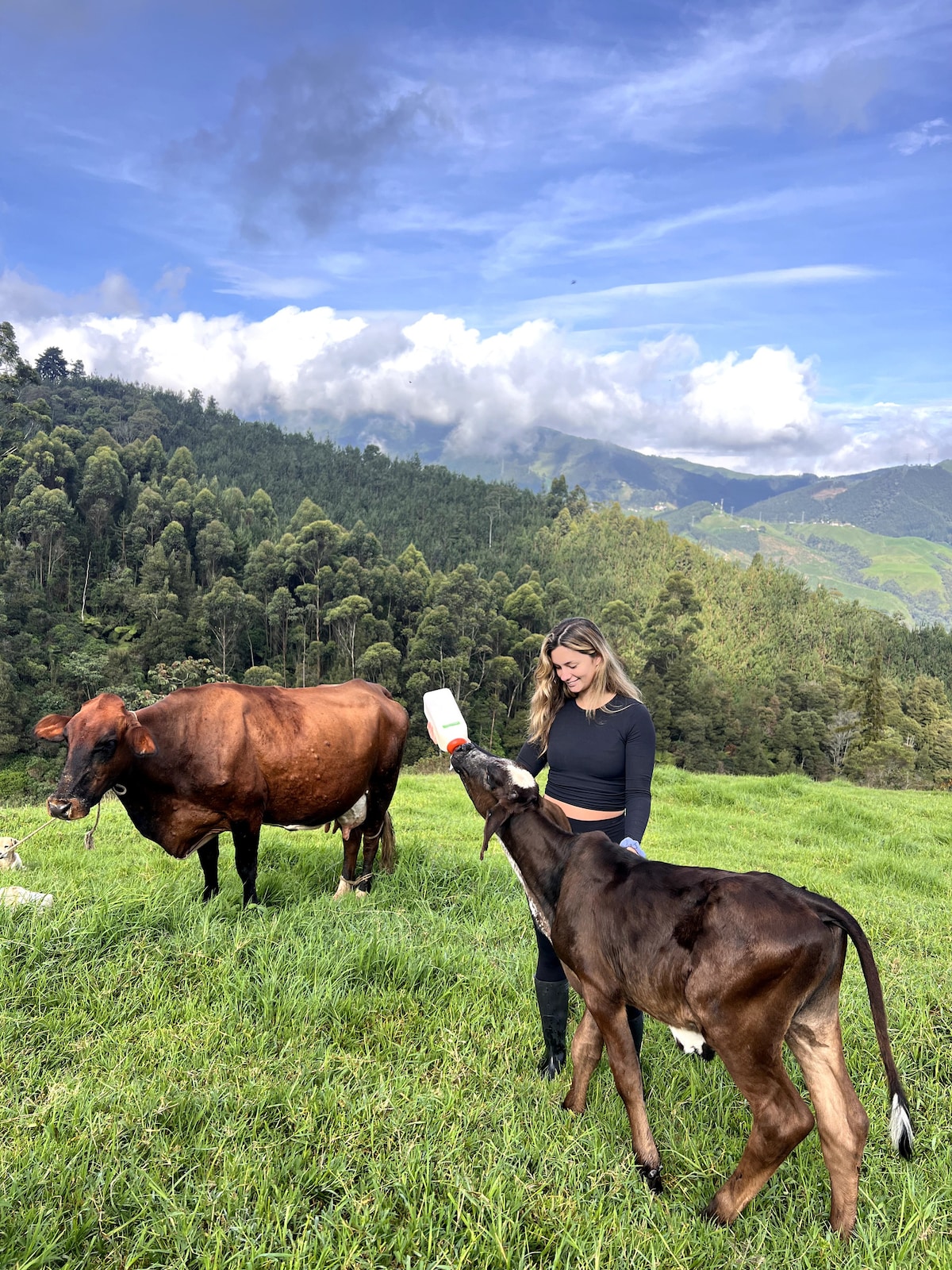 Descubre una finca familiar centenaria