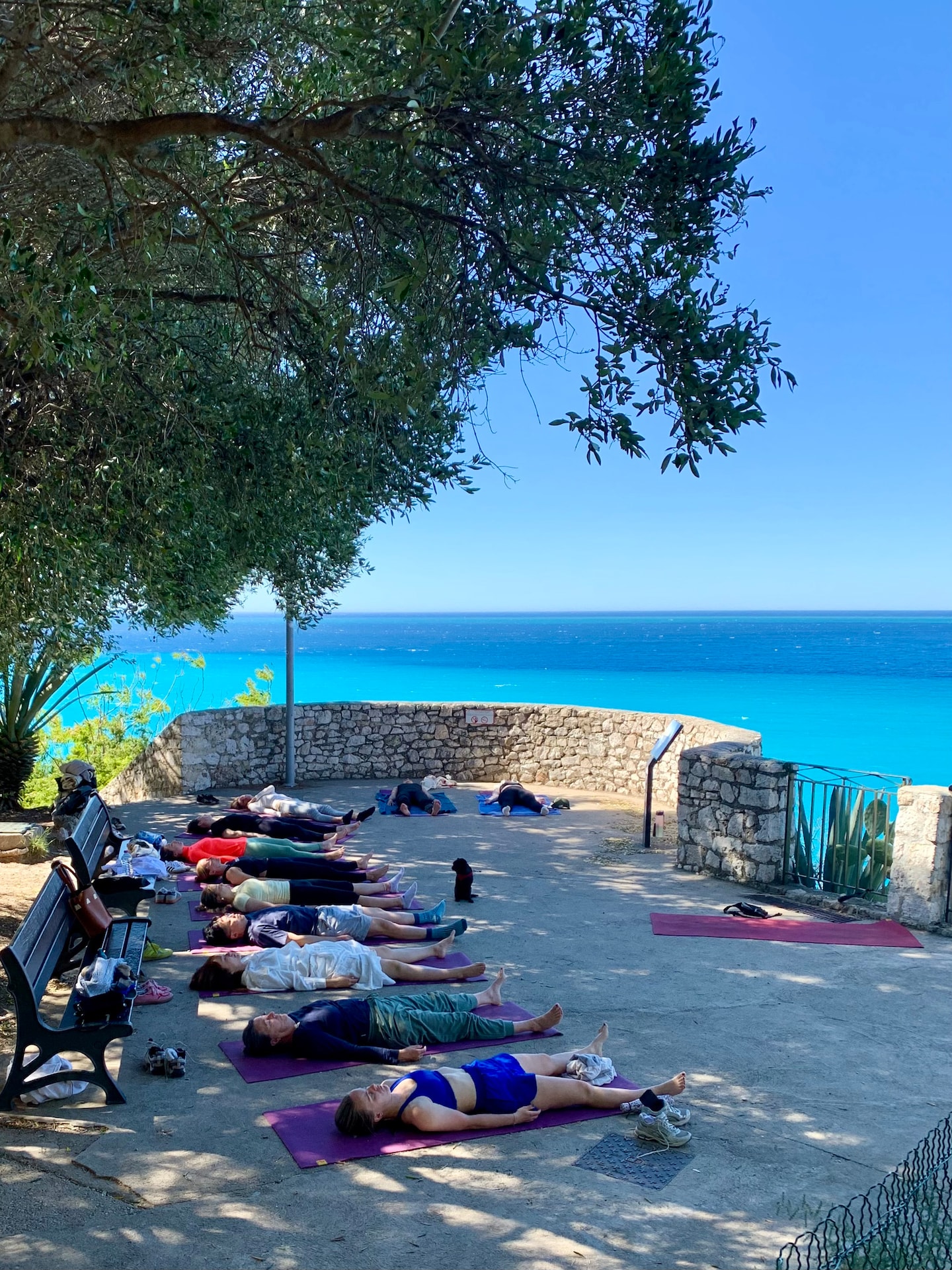Outdoor yoga in the French Riviera · ☆4.88