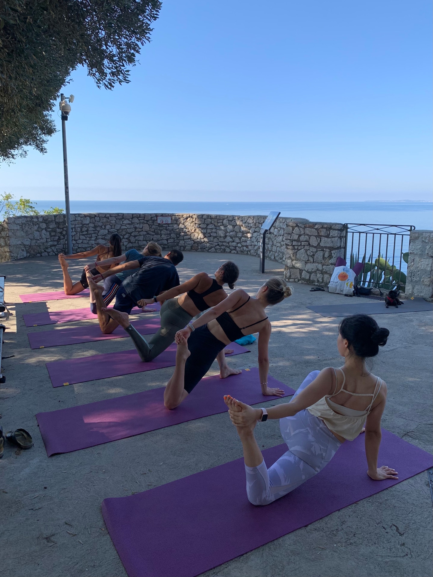 Outdoor yoga in the French Riviera · ☆4.88