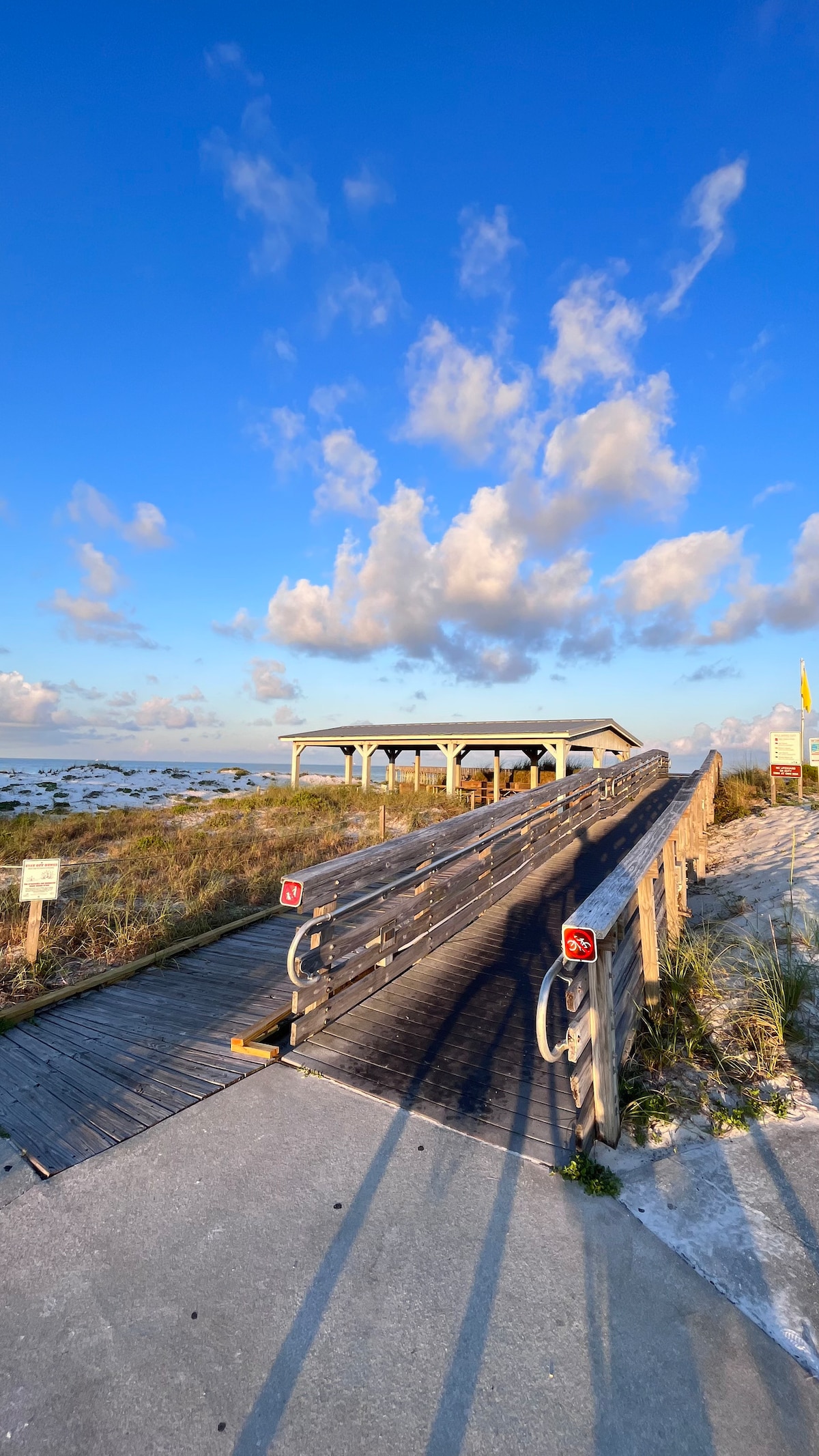 E-Bike Tour: State Park, Alligators, Pier, & More