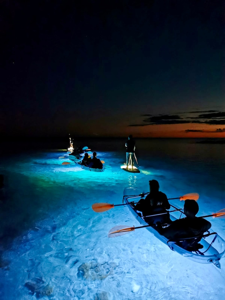 Glow Transparent Kayak at Sunset to Dusk in Pula · ☆4.87