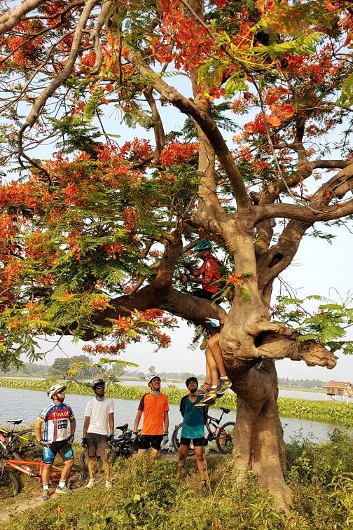 Cycle the Kolkata wetlands