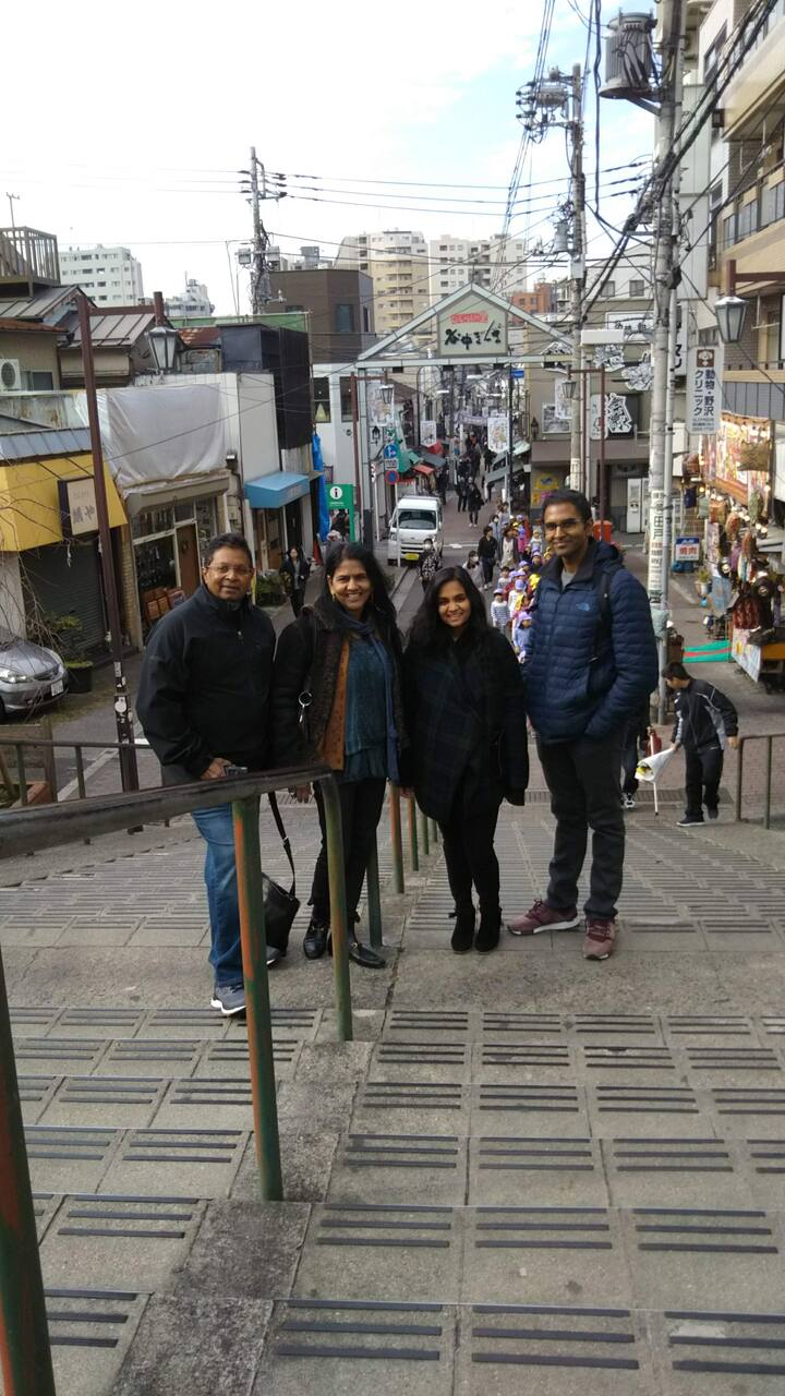 Visita il santuario di Nezu e Yanaka