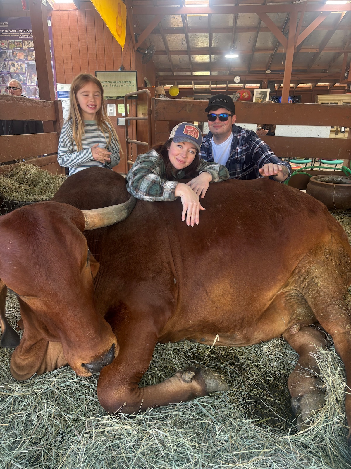 Cow Cuddling Therapy · ★4,98