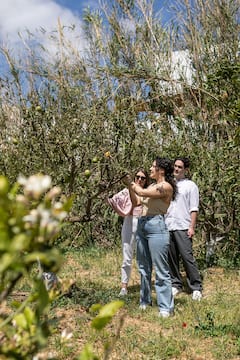 Cata y visita a una destilería de citron