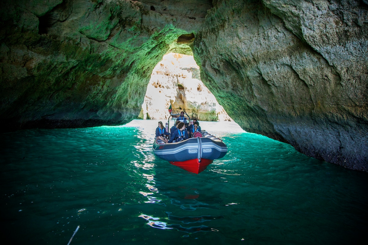 Explore dolphins and caves in Albufeira Marina