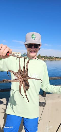San Diego guided pier fishing