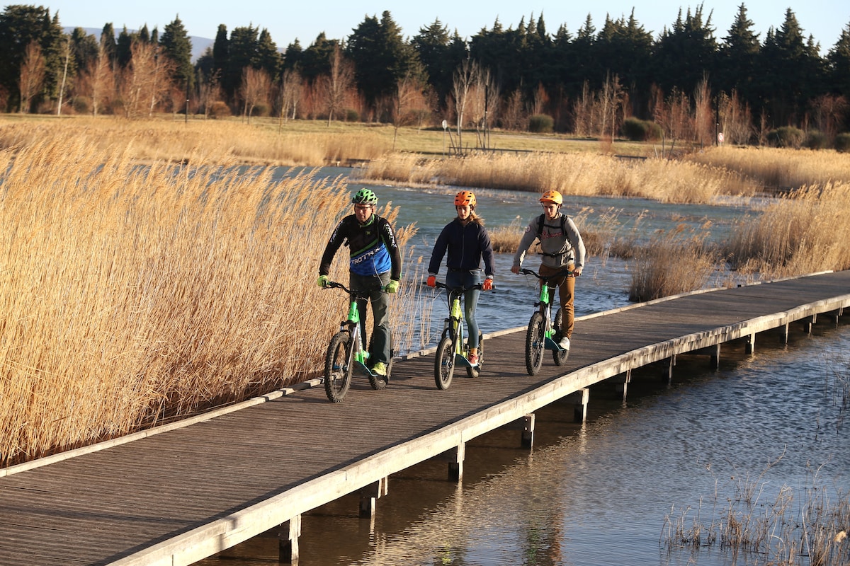 Leisurely Electric Scooter Ride in Labenne