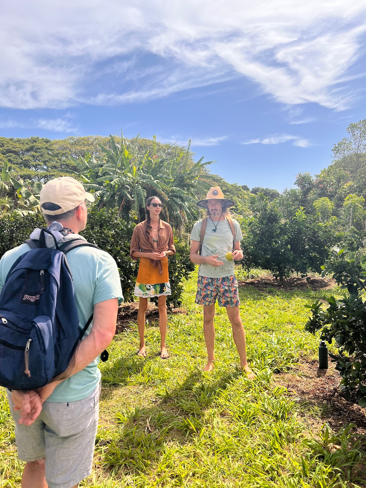 Pick and taste tropical fruit