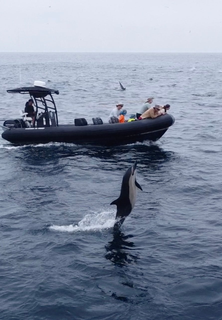 Küstenexpeditionen am Meer